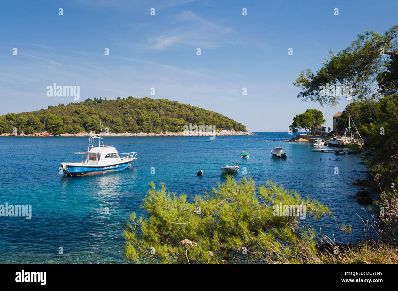 Barche da pesca in una baia vicino a Valdarke, Mali Losinj, isola di Losinj, Mare Adriatico, golfo di Kvarner, Croazia, Europa Foto Stock