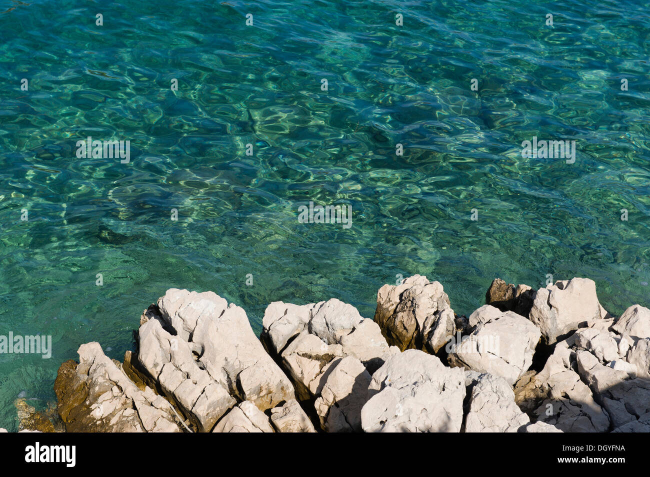 Rocce e mare a Valdarke, Mali Losinj, isola di Losinj, Mare Adriatico, golfo di Kvarner, Croazia, Europa Foto Stock