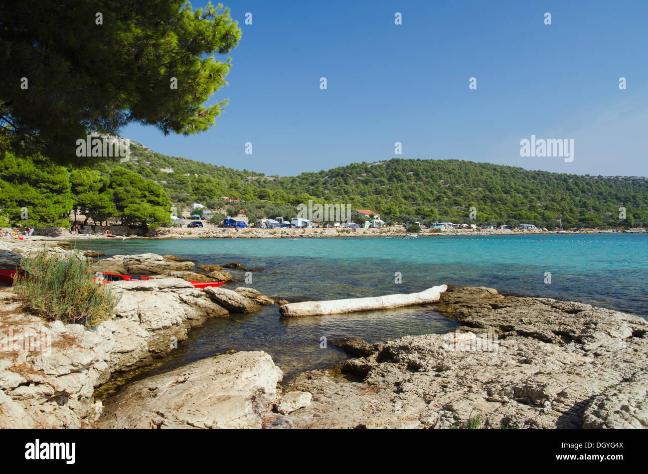 Costa e Spiaggia di Tisno, Isola di Murter, Mare Adriatico, Dalmazia, Croazia, Europa Foto Stock
