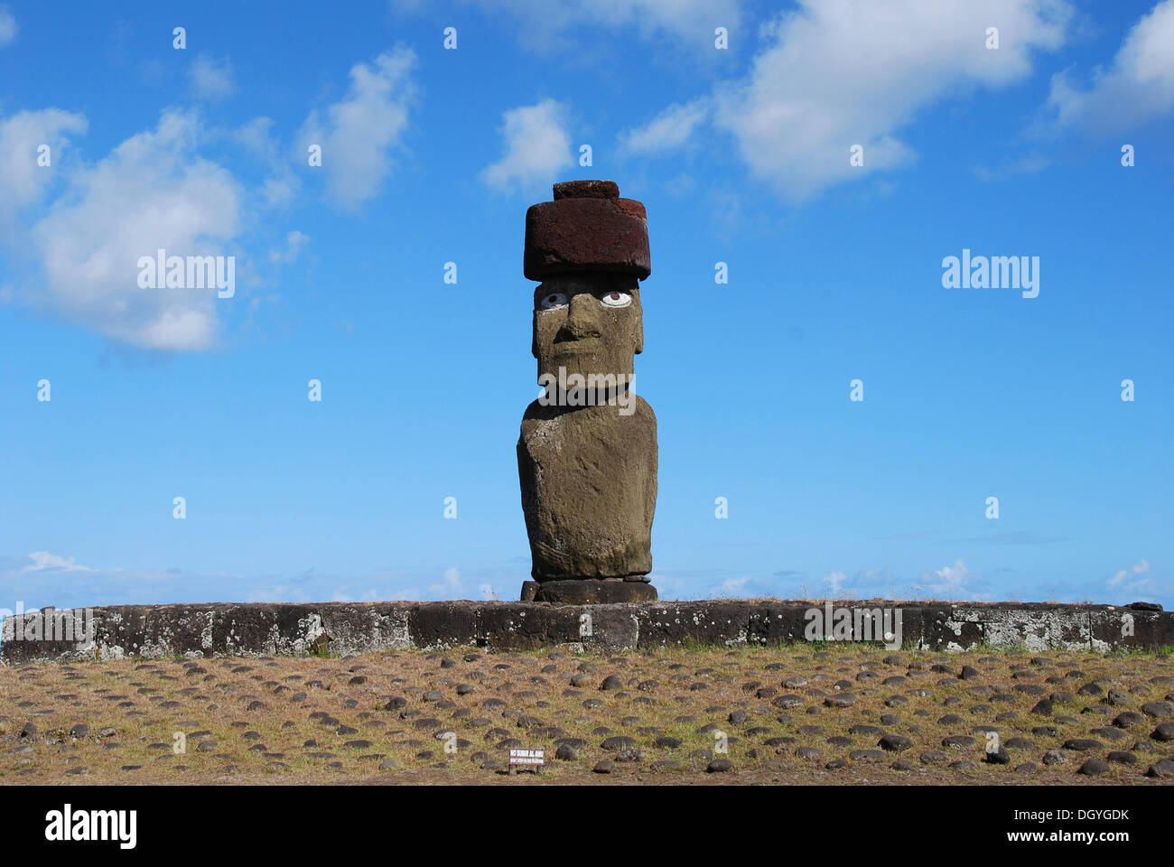 Moai, vicino a Hanga Roa, Isola di Pasqua e del Pacifico Foto Stock