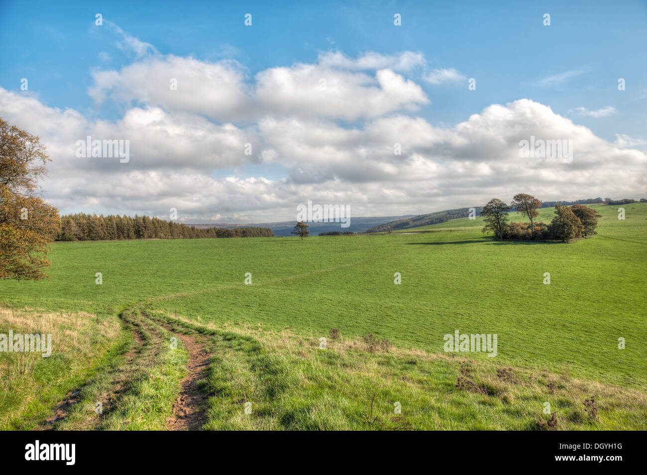 Derbyshire Dales nel Peak District Foto Stock