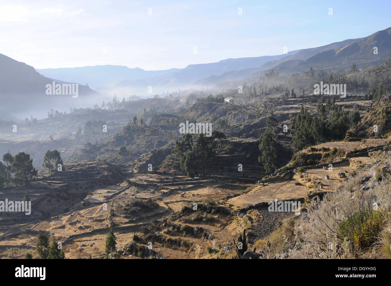 Vista della valle e nei pressi di maca Canyon del Colca, Perù, Sud America, America latina Foto Stock