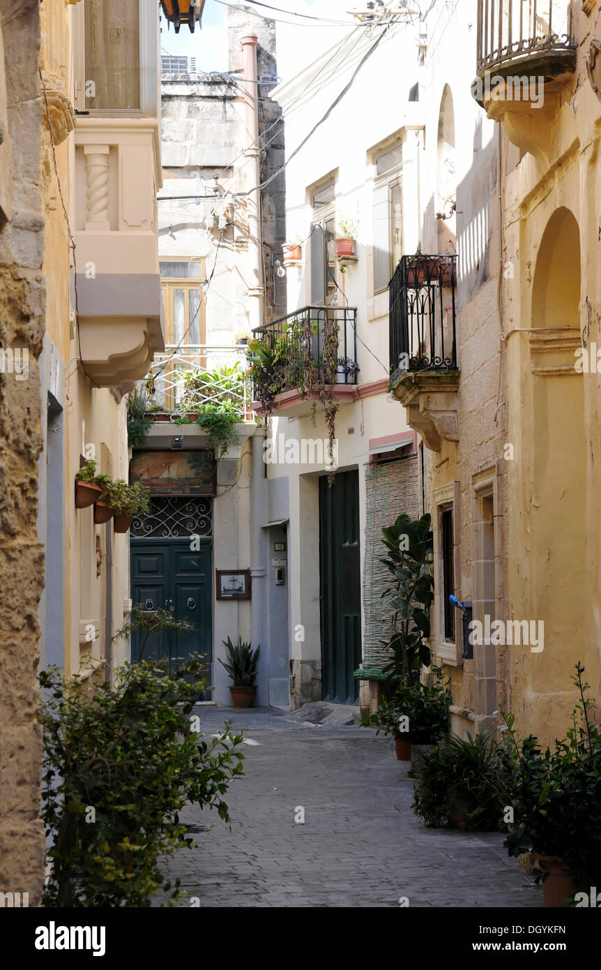 Strada laterale stretta, Mdina, Città Vecchia, o Città Notabile, Malta, Europa Foto Stock