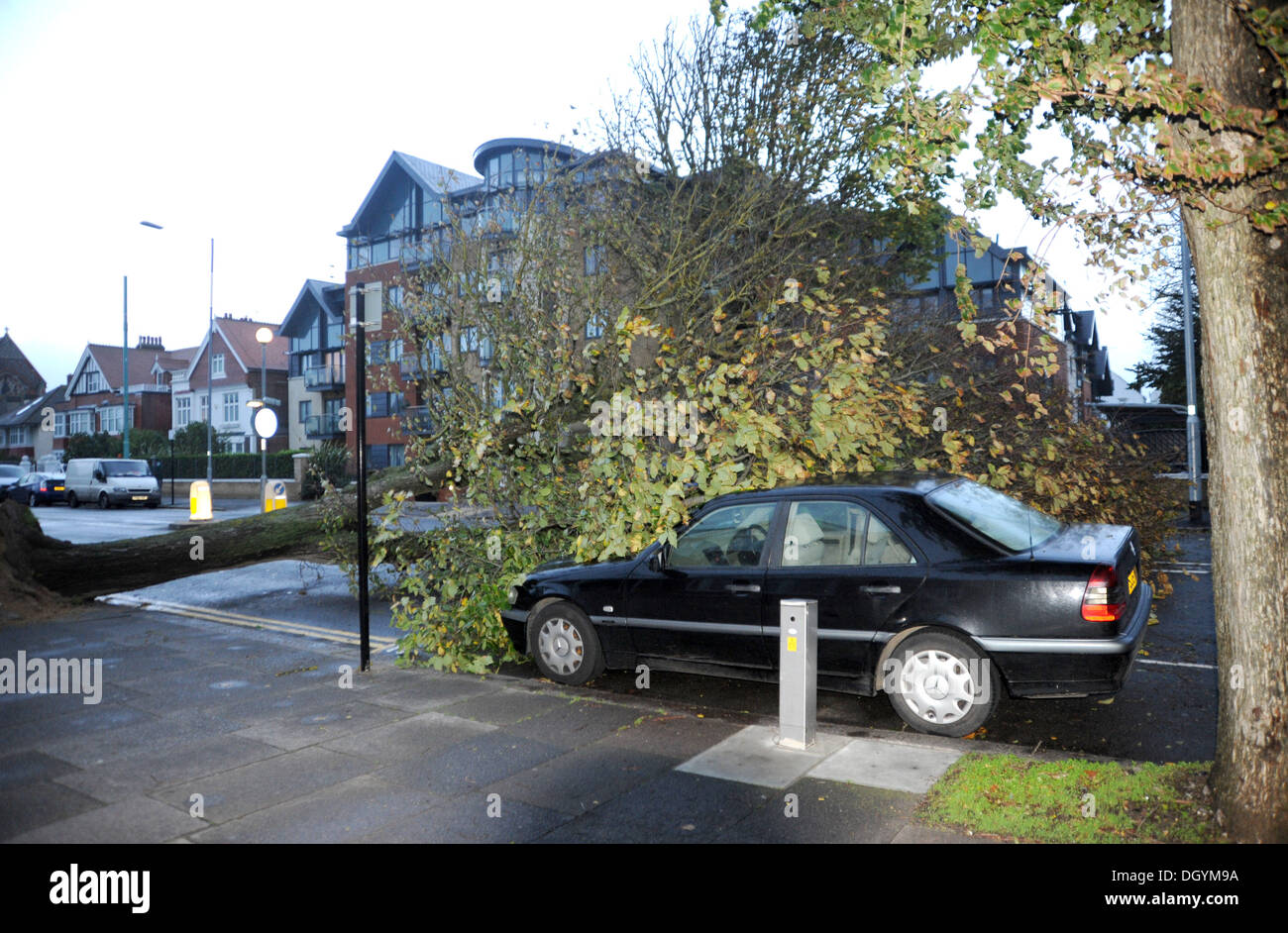 Un auto sotto un albero caduto nella nuova chiesa Road Hove come tempeste martoriata costa sud di questa mattina la tempesta, denominato St Jude, ha portato la windiest meteo a colpire il Regno Unito dal 1987. Foto Stock