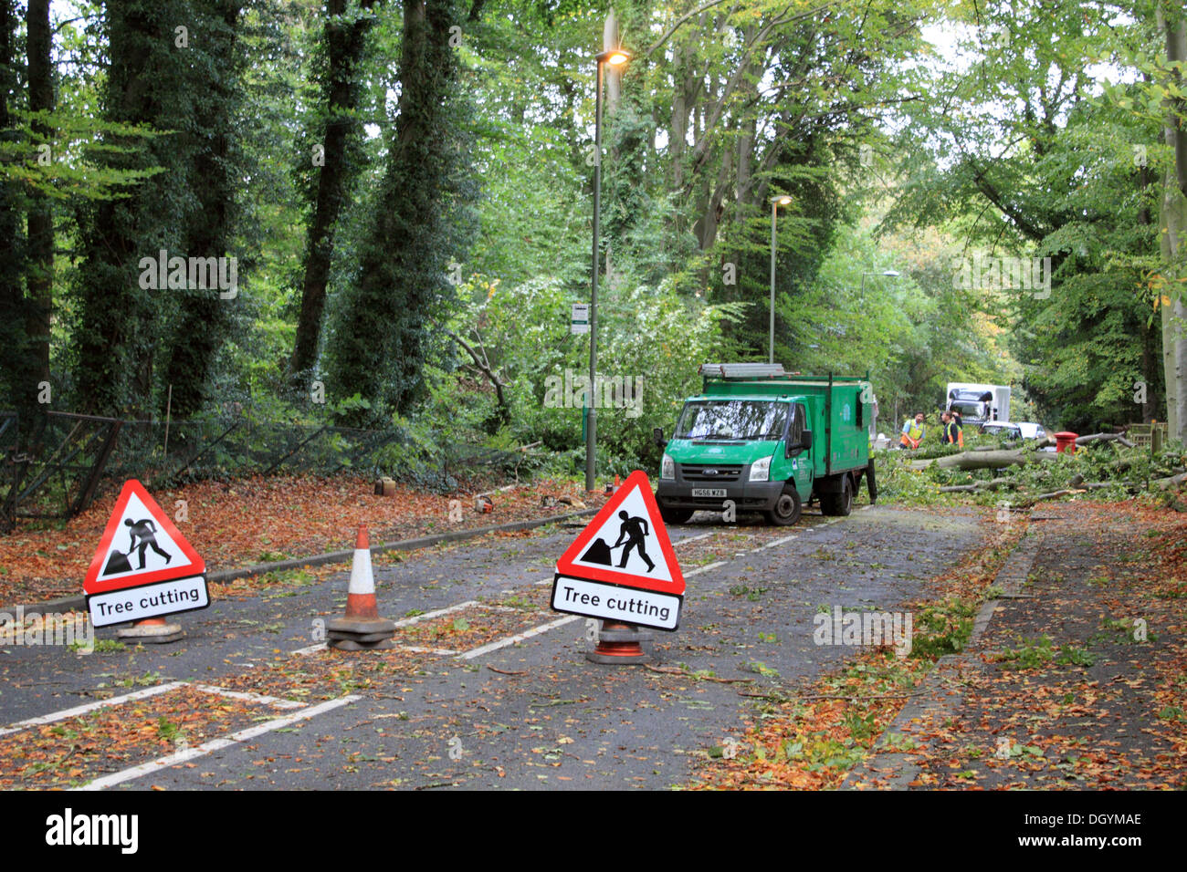 Epsom Surrey, Inghilterra, Regno Unito. Il 28 ottobre 2013. St Jude tempesta ha imperversato attraverso il sud della Gran Bretagna per tutta la notte. Qui in Ashley Road, Epsom un albero caduto è stata cancellata dal consiglio operai.La tempesta, denominato St Jude, ha portato la windiest meteo a colpire il Regno Unito dal 1987. Credito: Giubileo Immagini/Alamy Live News Foto Stock