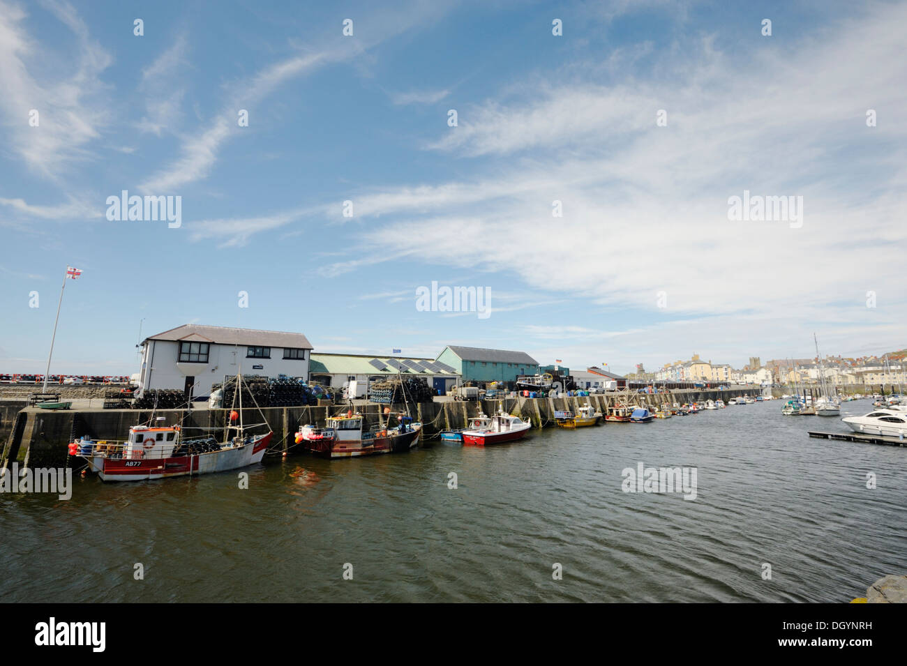La pesca e le imbarcazioni da diporto ormeggiata in banchina, Aberystwyth Harbour, Wales, Regno Unito Foto Stock