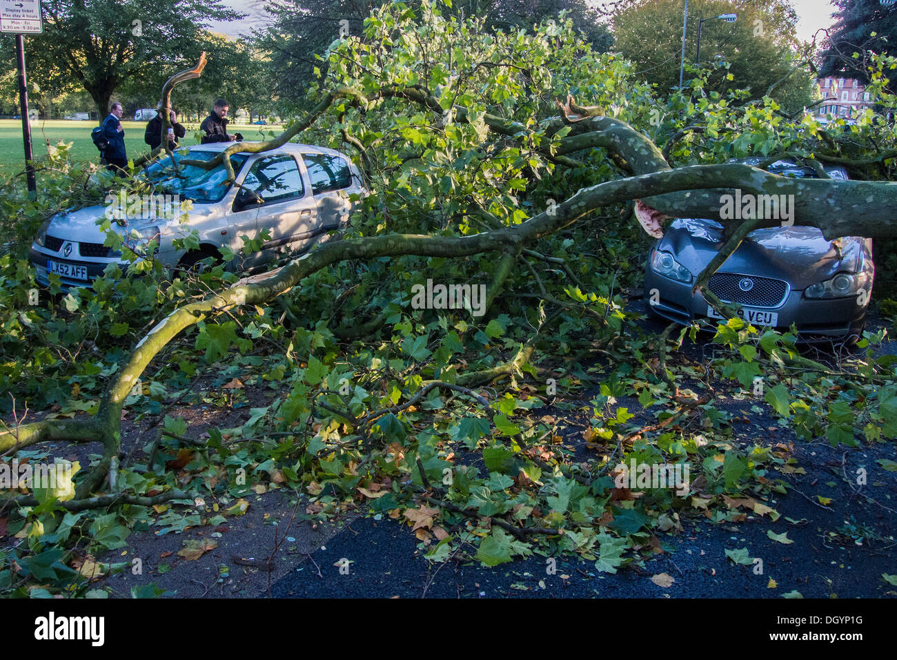 Nightingale Lane, Clapham, London, Regno Unito . 28 ott 2013. Una parte di un albero cade su una Jaguar berlina come risultato della tempesta. L'interno della vettura non appare danneggiato in modo che si presume che gli occupanti abbandonato le loro auto in quanto non è in uno spazio di parcheggio ma al centro della corsia. Un'altra auto in uno spazio per il parcheggio sulla strada è anche danneggiato. I pendolari e i bambini delle scuole sul loro modo a un ritardo nella linea del Nord a Clapham South, smettere di guardare e scattare foto.La tempesta, denominato St Jude, ha portato la windiest meteo a colpire il Regno Unito dal 1987. Credito: Guy Bell/Alamy Live News Foto Stock