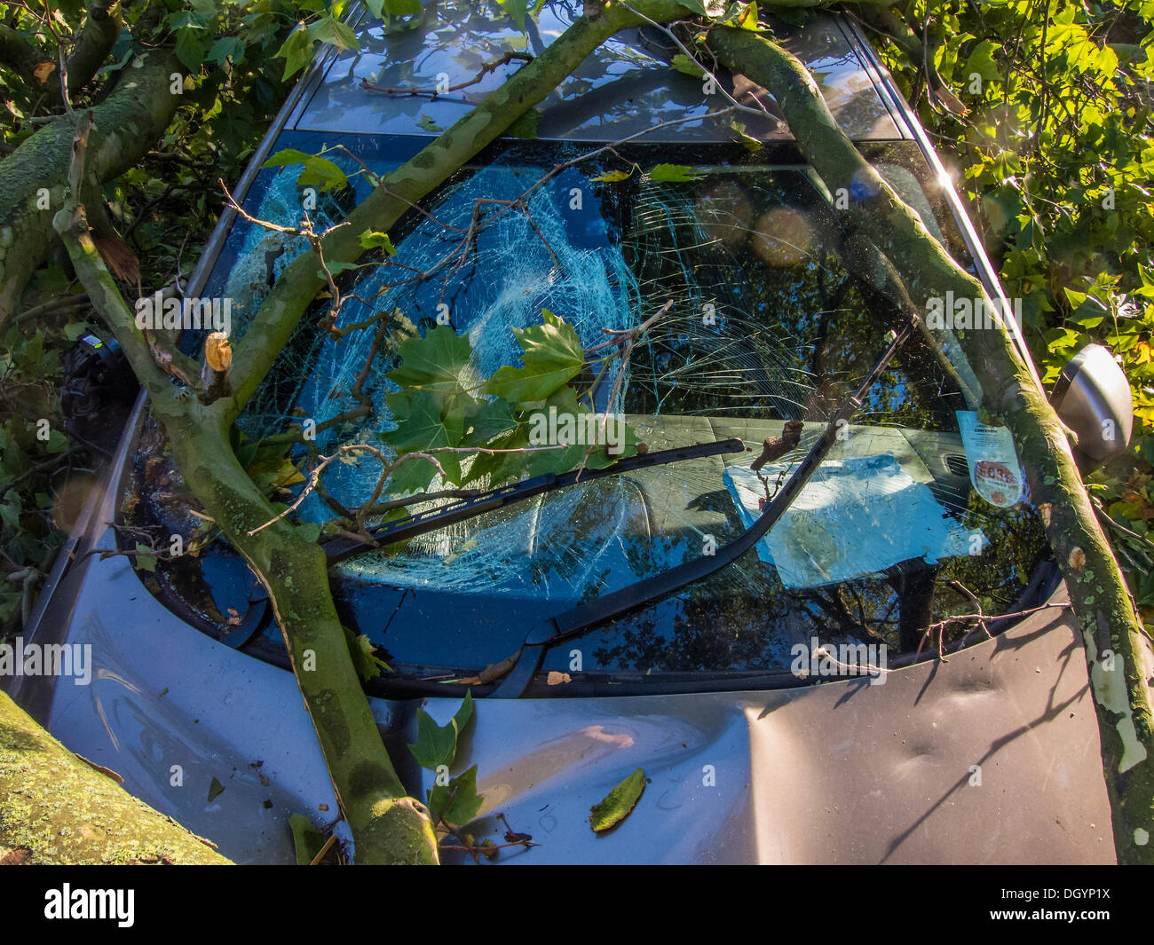 Nightingale Lane, Clapham, London, Regno Unito . 28 ott 2013. Una parte di un albero cade su una Jaguar berlina come risultato della tempesta. L'interno della vettura non appare danneggiato in modo che si presume che gli occupanti abbandonato le loro auto in quanto non è in uno spazio di parcheggio ma al centro della corsia. Un'altra auto in uno spazio per il parcheggio sulla strada è anche danneggiato. I pendolari e i bambini delle scuole sul loro modo a un ritardo nella linea del Nord a Clapham South, smettere di guardare e scattare foto.La tempesta, denominato St Jude, ha portato la windiest meteo a colpire il Regno Unito dal 1987. Credito: Guy Bell/Alamy Live News Foto Stock