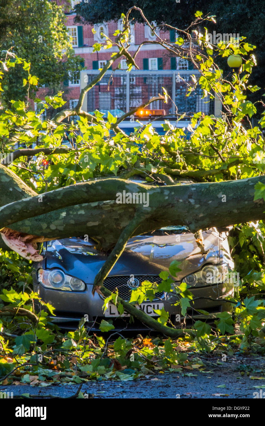 Nightingale Lane, Clapham, London, Regno Unito . 28 ott 2013. Una parte di un albero cade su una Jaguar berlina come risultato della tempesta. L'interno della vettura non appare danneggiato in modo che si presume che gli occupanti abbandonato le loro auto in quanto non è in uno spazio di parcheggio ma al centro della corsia. Un'altra auto in uno spazio per il parcheggio sulla strada è anche danneggiato. I pendolari e i bambini delle scuole sul loro modo a un ritardo nella linea del Nord a Clapham South, smettere di guardare e scattare foto.La tempesta, denominato St Jude, ha portato la windiest meteo a colpire il Regno Unito dal 1987. Credito: Guy Bell/Alamy Live News Foto Stock