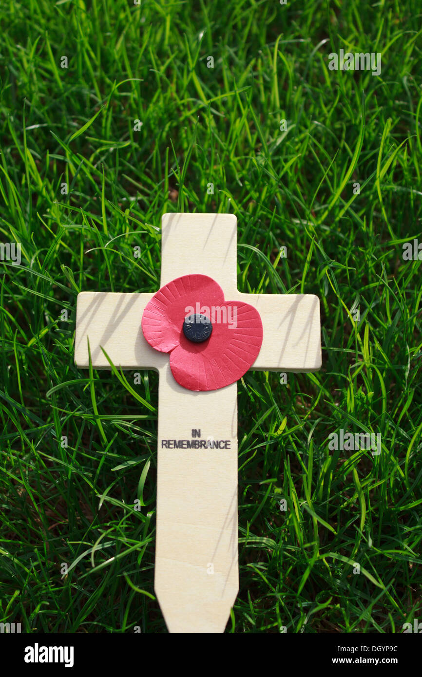 Giorno del Ricordo croce di legno con papavero rosso su un prato verde Foto Stock