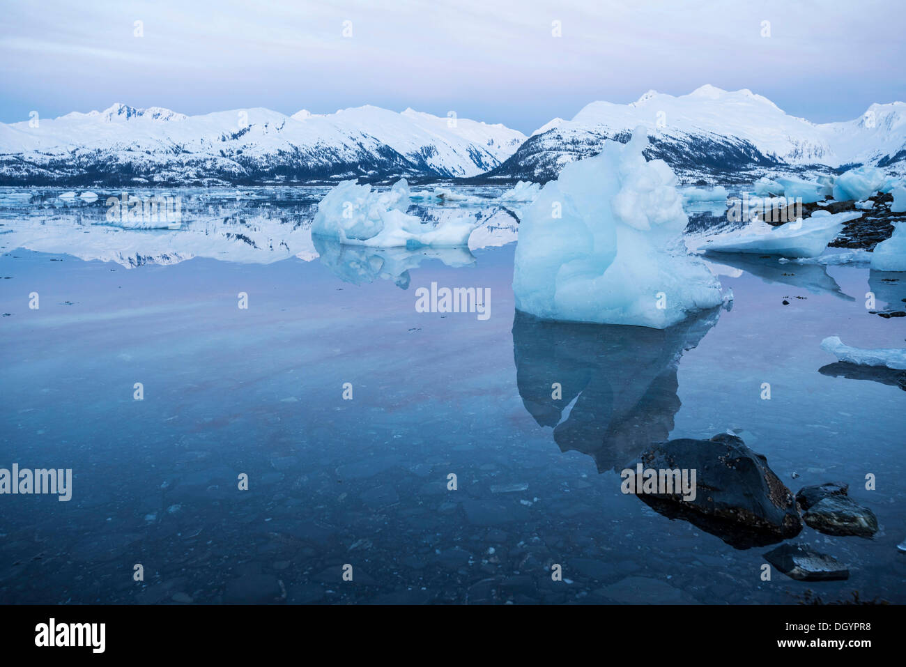 Iceberg presso il College Fjord, Anchorage in Alaska,, Stati Uniti Foto Stock