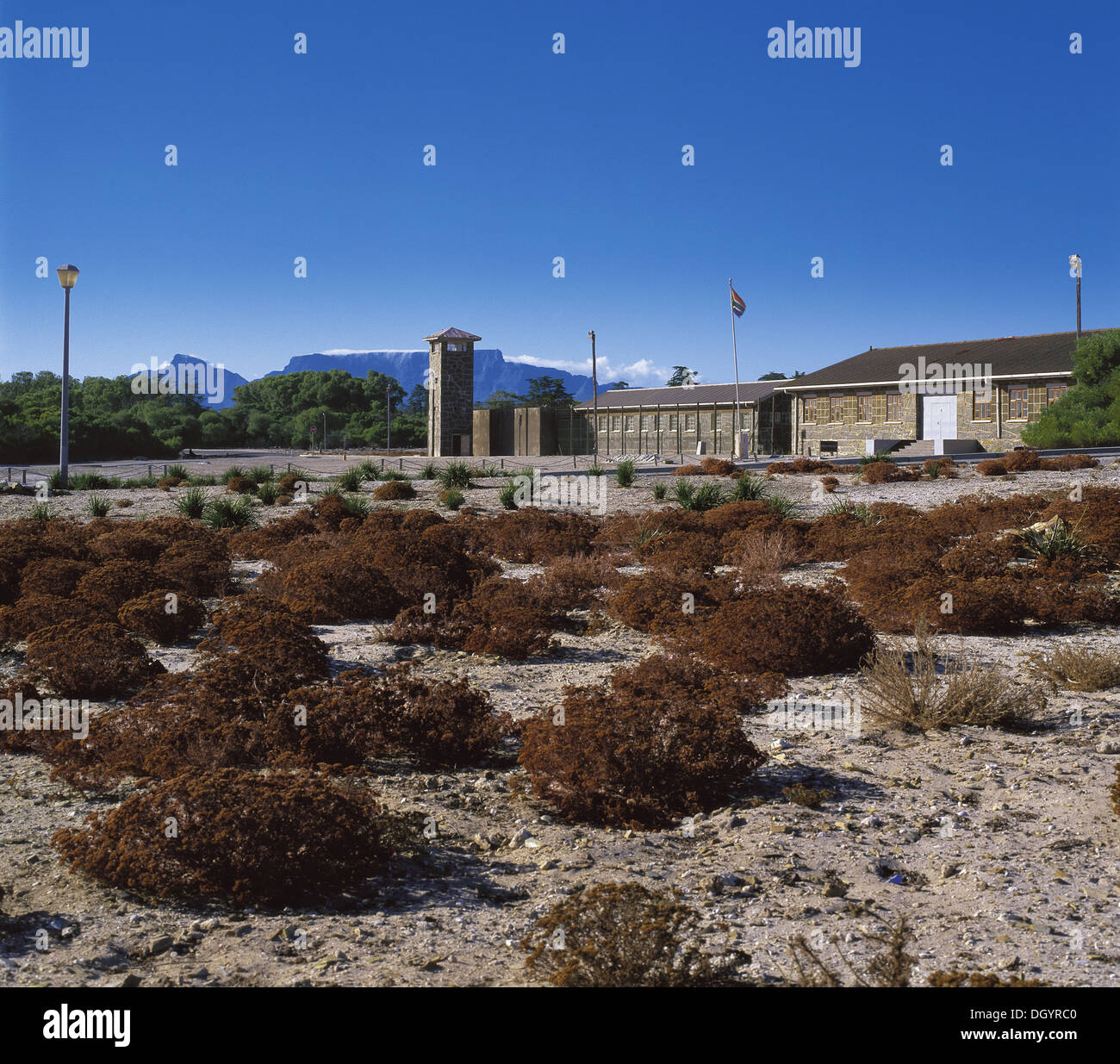 Robben Island con Table Mountain che torreggia sullo sfondo Foto Stock