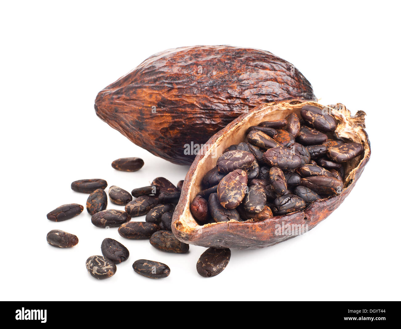 Pod di cacao e fagioli isolato su uno sfondo bianco Foto Stock