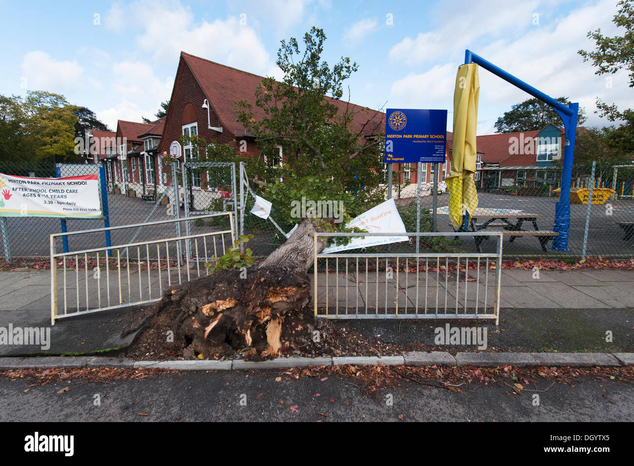 Londra, Regno Unito. 28 Ott, 2013 . Postumi di mattina presto tempesta forza raffiche di vento nella periferia di Londra, un grande albero ha rovesciato e ringhiere appiattito e la recinzione al di fuori del parco di Merton scuola primaria. La tempesta, denominato St Jude, ha portato la windiest meteo a colpire il Regno Unito dal 1987. Credito: Malcolm Park editoriale/Alamy Live News Foto Stock