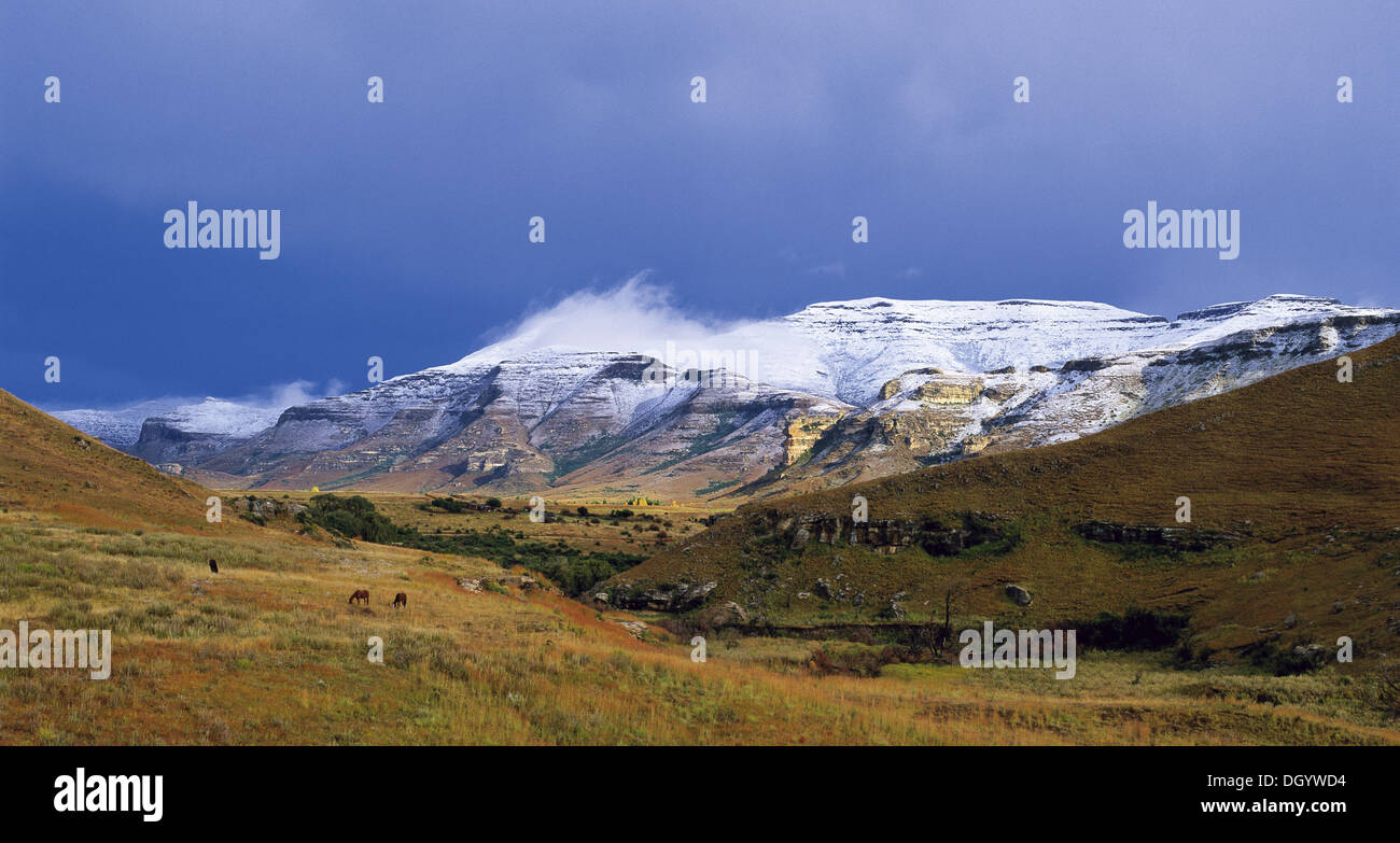Golden Gate, Sud Africa Foto Stock