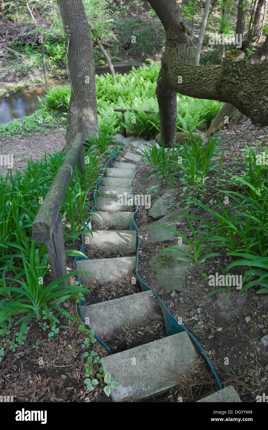 Una serie di passaggi progettato con pavimentazione in calcestruzzo Lastre conduce giù ad un patch di felci in un bellissimo giardino nel cortile in primavera, Foto Stock