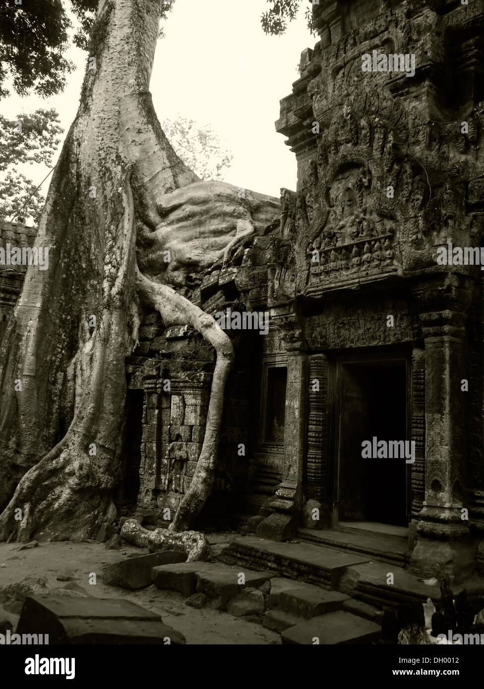 Prese a sovradimensionate templi cambogiana vicino Ankor Wat Foto Stock