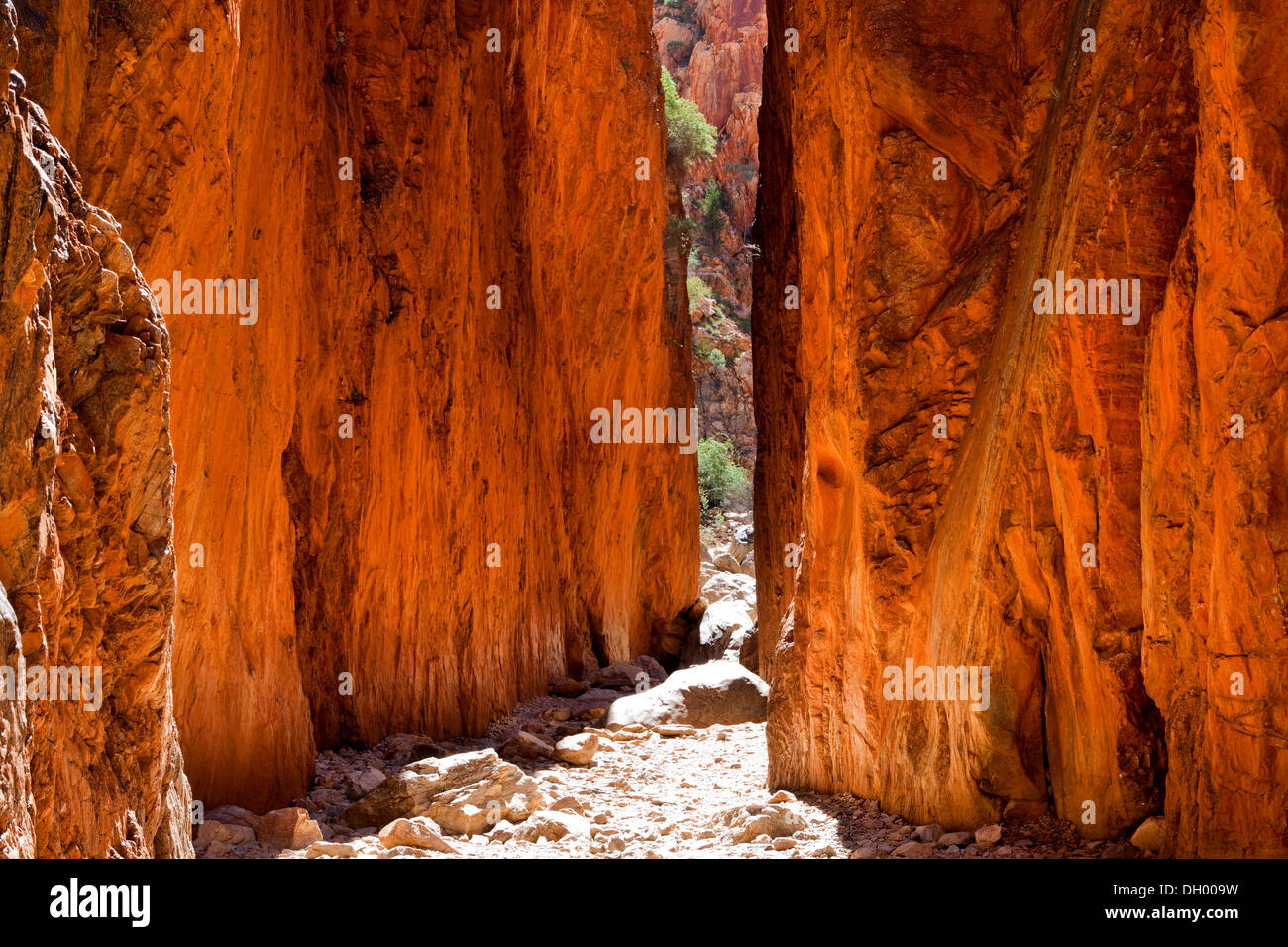 Standley Chasm nel West MacDonnell National Park, il Territorio del Nord, l'Australia Foto Stock