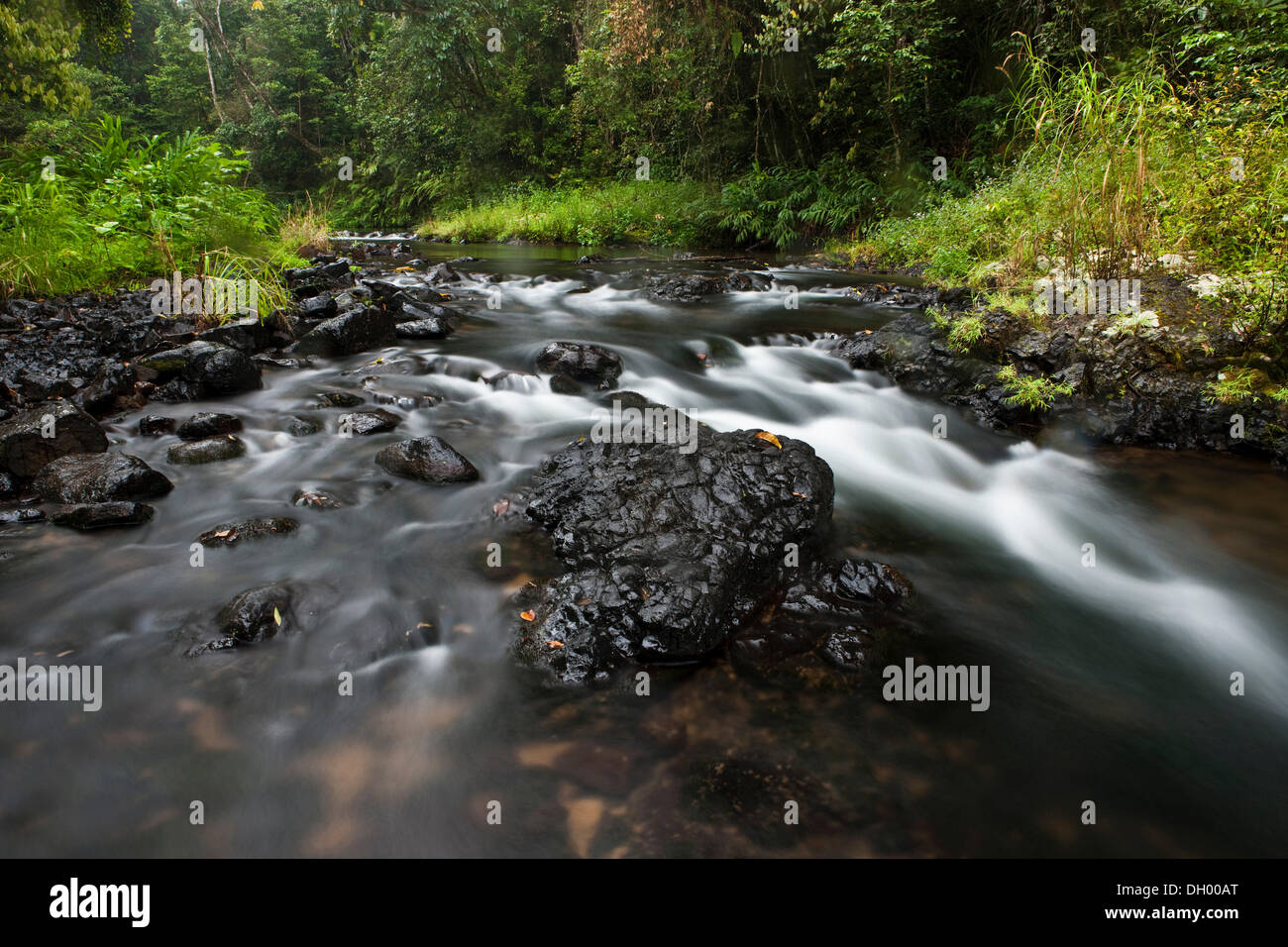 Flusso in una foresta pluviale nell'altopiano di Atherton, Queensland, Australia Foto Stock