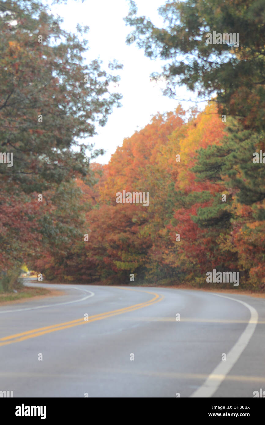 Bellissimo fogliame degli alberi su una strada tortuosa. Foto Stock