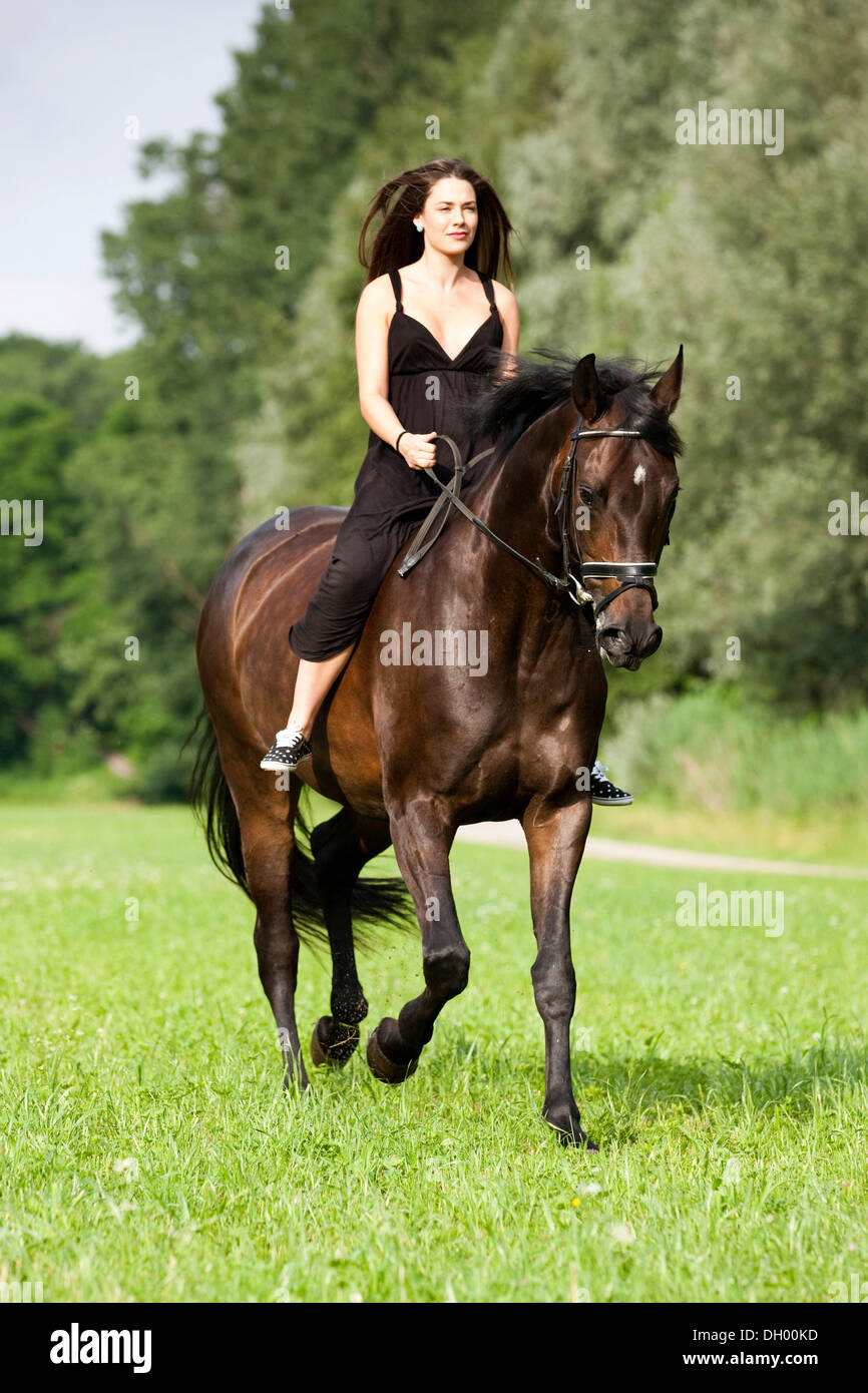 Giovane donna che indossa un abito seduta bareback a cavallo e cavalcare al trotto, Hanoverian cavallo, Bay, a Nord Tirolo, Austria Foto Stock
