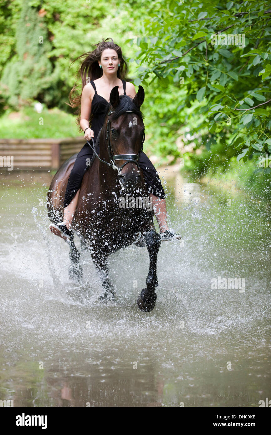 Giovane donna che indossa un abito seduta bareback a cavallo e cavalcare attraverso acqua a un trotto, Hanoverian cavallo, bay, Tirolo del Nord Foto Stock