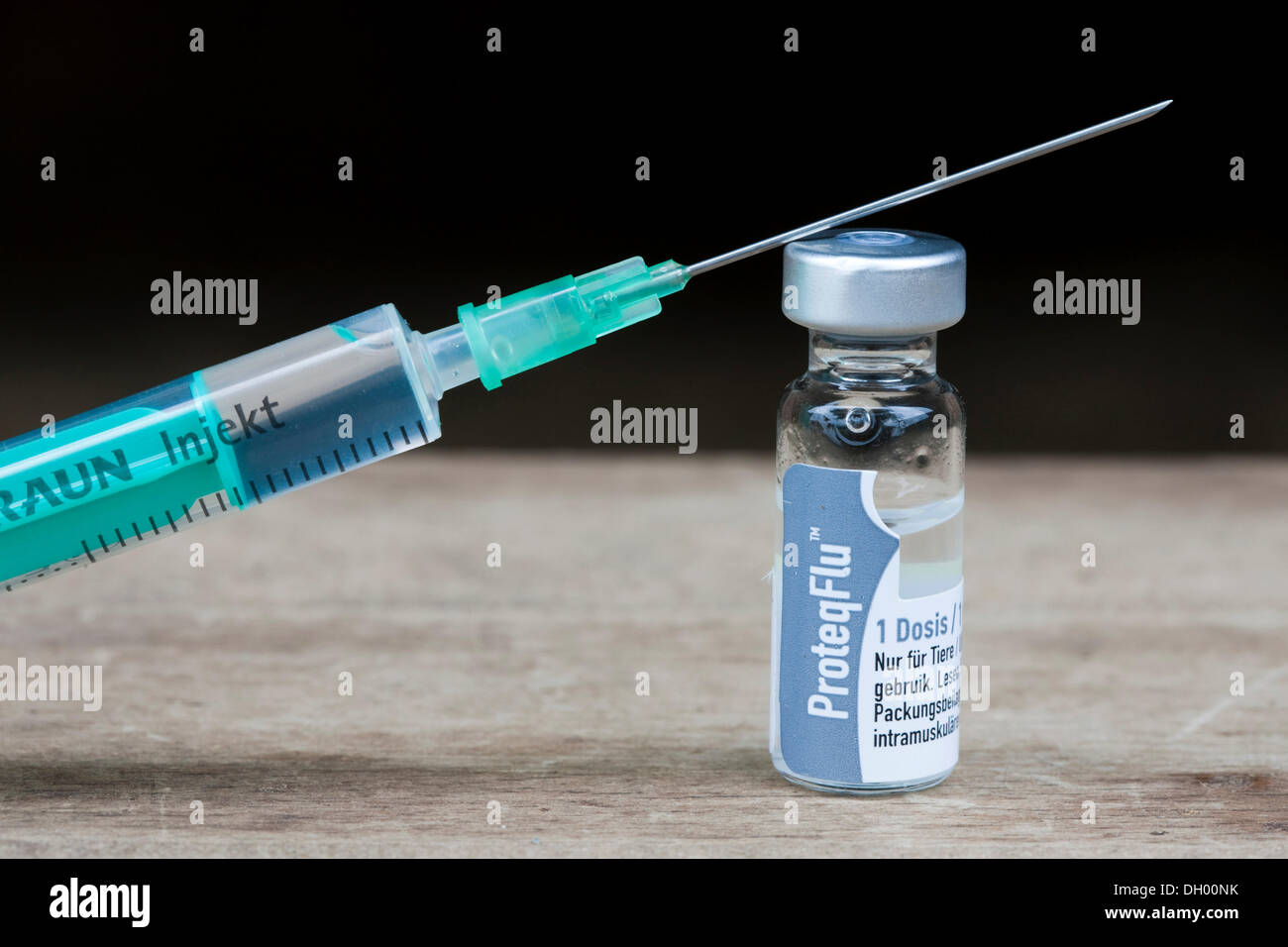 Vaccino antinfluenzale per cavalli, bottiglia di siero e un ago di iniezione Foto Stock