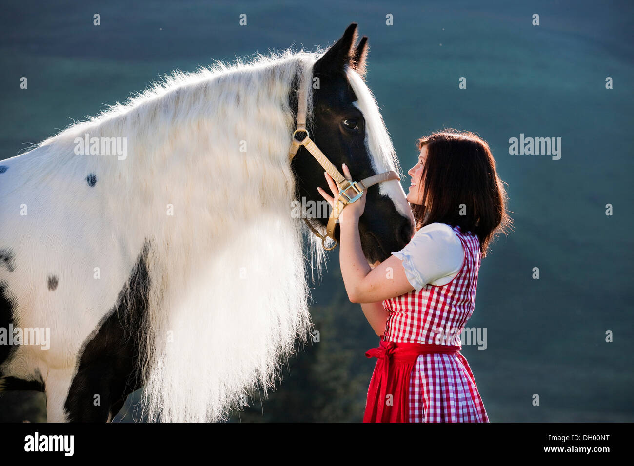 Giovane donna che indossa un vestito con grembiule cuddling con uno zingaro Vanner o Tinker cavallo, pinto, bianco e nero, Tirolo del nord, Austria, Europa Foto Stock