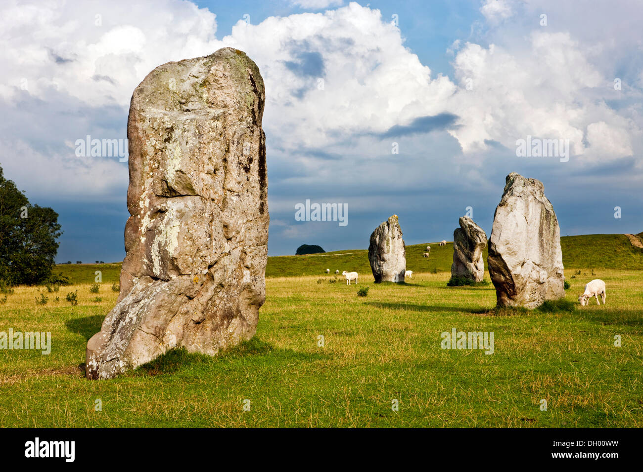 Anello di pietre permanente, cerchio di pietra, Avebury, Wiltshire, Inghilterra, Regno Unito Foto Stock