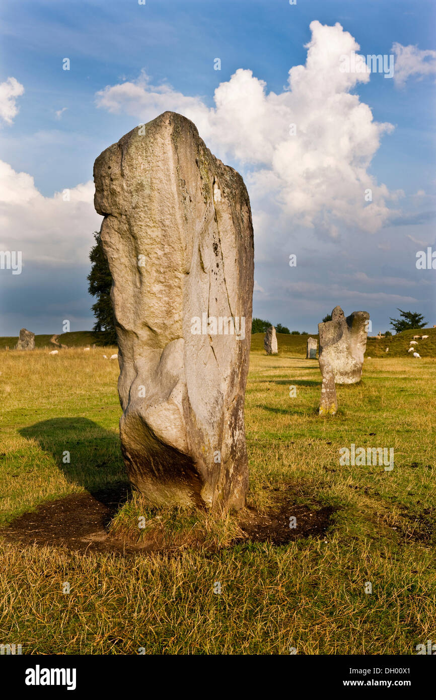 Anello di pietre permanente, cerchio di pietra, Avebury, Wiltshire, Inghilterra, Regno Unito Foto Stock