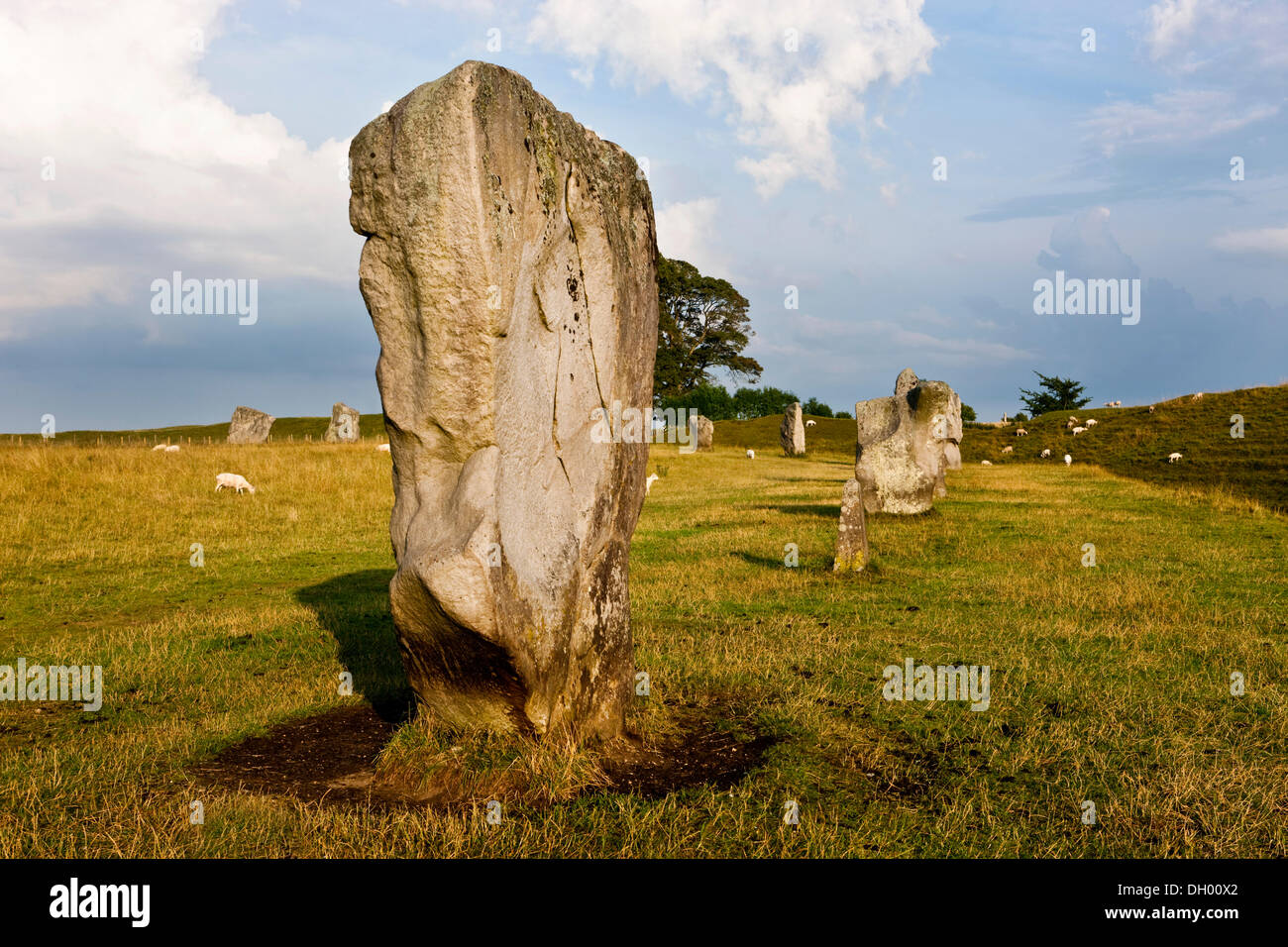 Anello di pietre permanente, cerchio di pietra, Avebury, Wiltshire, Inghilterra, Regno Unito Foto Stock