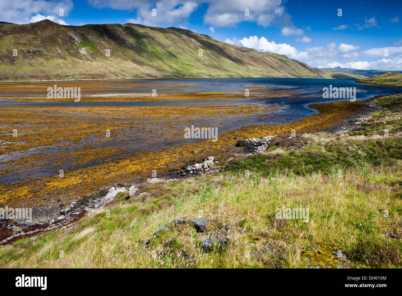 Fjord a bassa marea, Isola di Skye, Scotland, Regno Unito Foto Stock