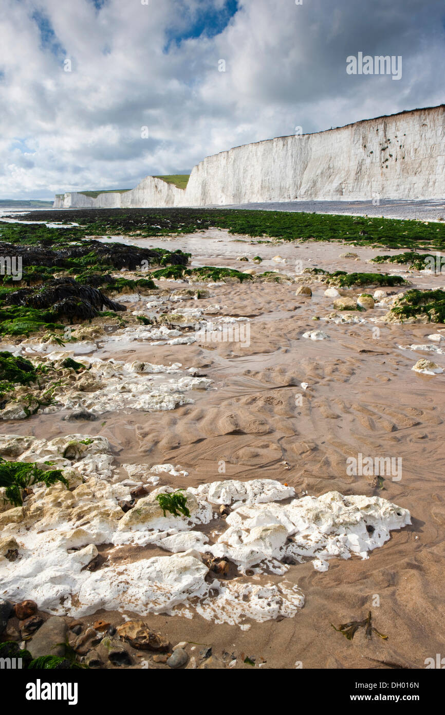 White chalk cliffs, Sette sorelle Country Park, East Sussex, England, Regno Unito Foto Stock