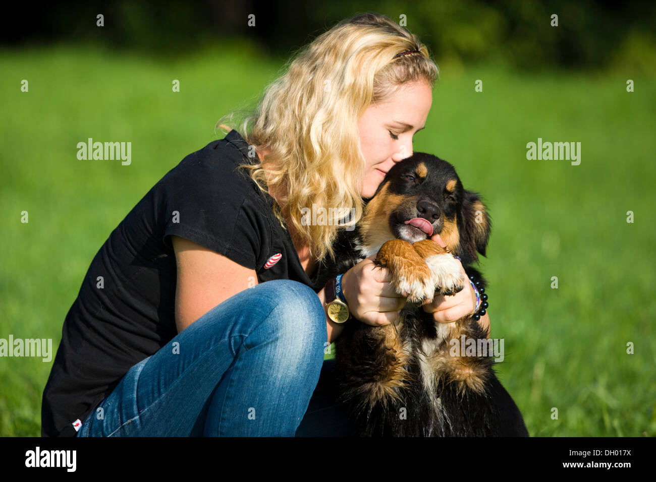 Giovane donna coccole un pastore australiano cane, Austria Foto Stock