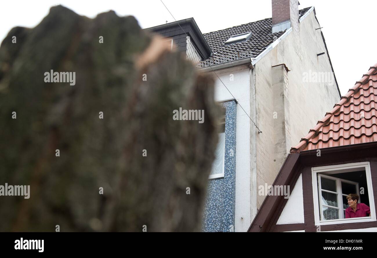 Osnabrueck, Germania. 28 ott 2013. Un sawed via ceppo di albero è raffigurato nella parte anteriore di una casa a Osnabrück, Germania, 28 ottobre 2013. Tempesta danni e alberi caduti mantenuto i vigili del fuoco e polizia occupato nel nord. Foto: Friso Gentsch/dpa/Alamy Live News Foto Stock