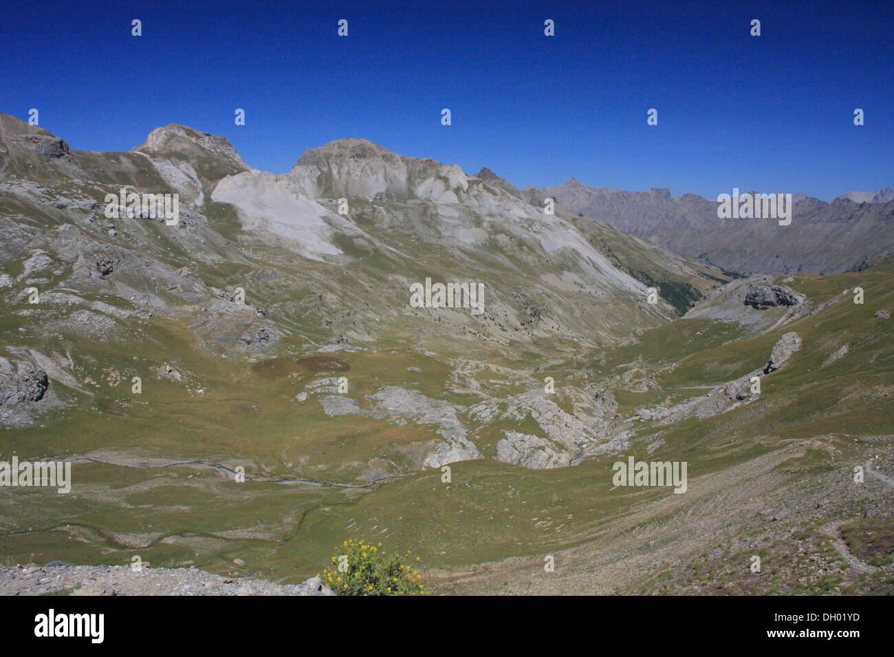 Sul Col de la Bonette mountain pass, la più alta strada lastricata in Europa, dipartimento delle Alpi Marittime, Alpi occidentali, Francia, Europa Foto Stock