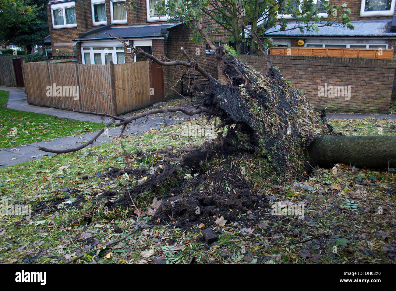 Brixton, Londra, Regno Unito. Il 28 ottobre 2013. Conseguenze della st Jude tempesta nel sud di Londra. Un albero è caduto sulla Childspace nursery, Cressingham giardini, vicino a Brixton. La tempesta, denominato St Jude, ha portato la windiest meteo a colpire il Regno Unito dal 1987. Credito: Johnny Henshall / Alamy Live News. Foto Stock