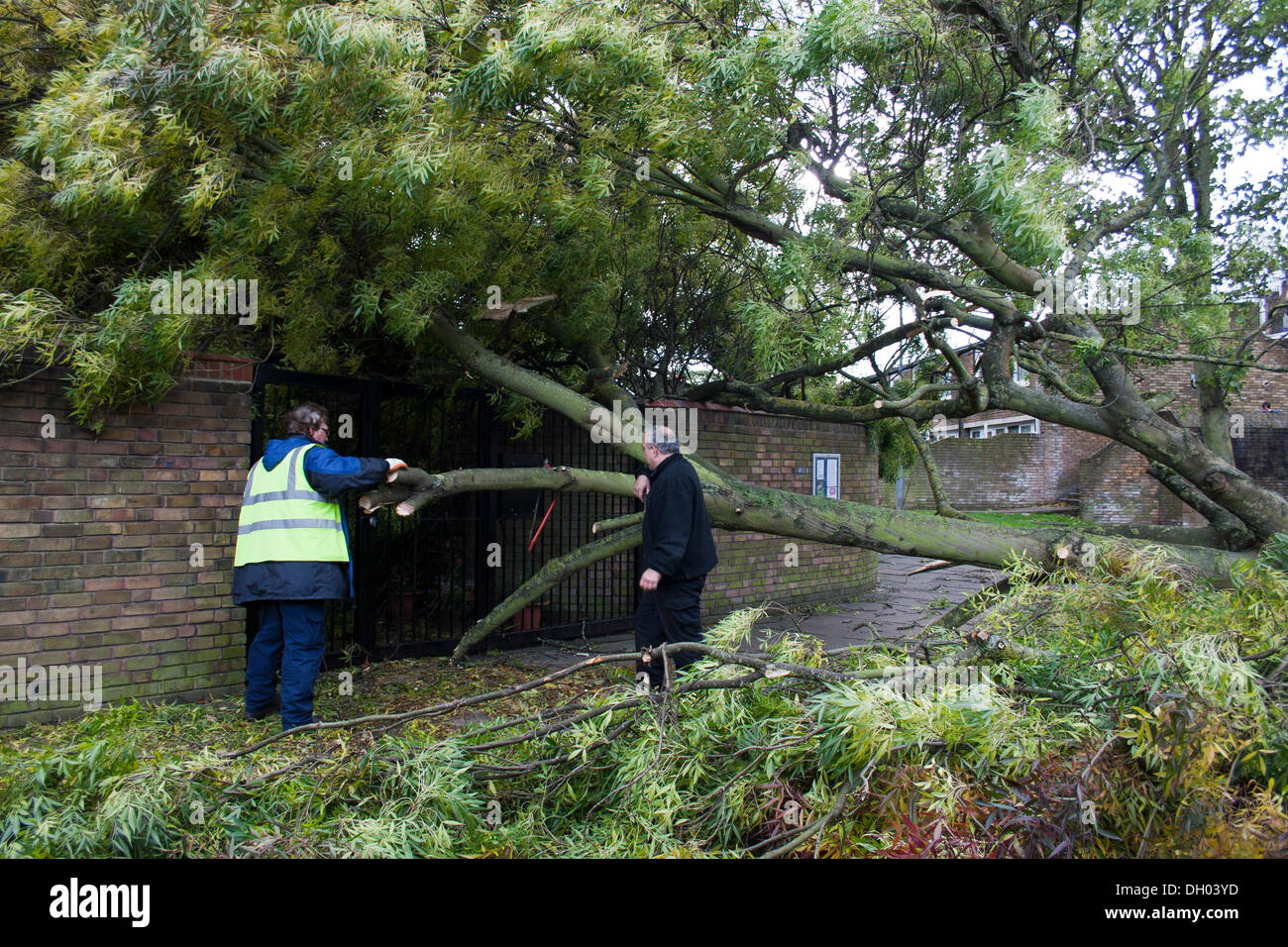 Brixton, Londra, Regno Unito. Il 28 ottobre 2013. Conseguenze della st Jude tempesta nel sud di Londra. Un albero è caduto sulla Childspace nursery, Cressingham giardini, vicino a Brixton. La tempesta, denominato St Jude, ha portato la windiest meteo a colpire il Regno Unito dal 1987. Credito: Johnny Henshall / Alamy Live News. Foto Stock