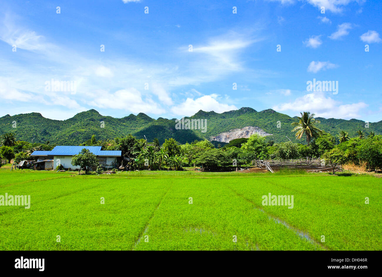 La collina di erba e cielo blu, Thailandia Foto Stock