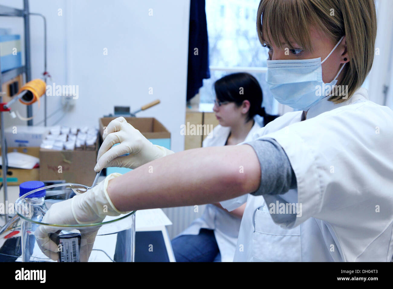 Assistenti di farmacia medicina di fabbricazione Foto Stock