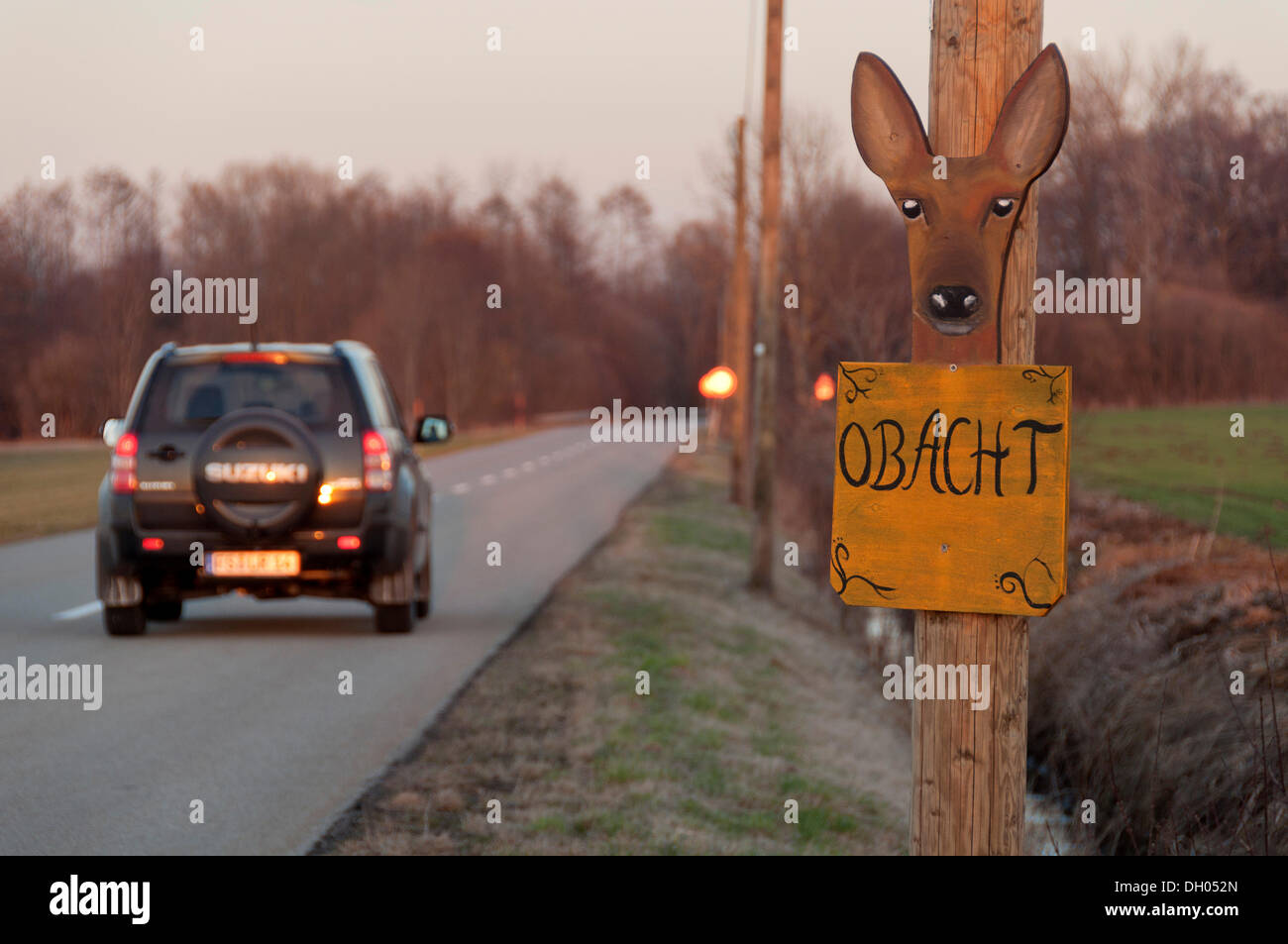 Dipinto di un cartello di segnalazione con la parola bavarese "Obacht' e la testa di un cervo, Tedesco per 'Attenzione', in corrispondenza di un bordo strada, vicino a Freising Foto Stock