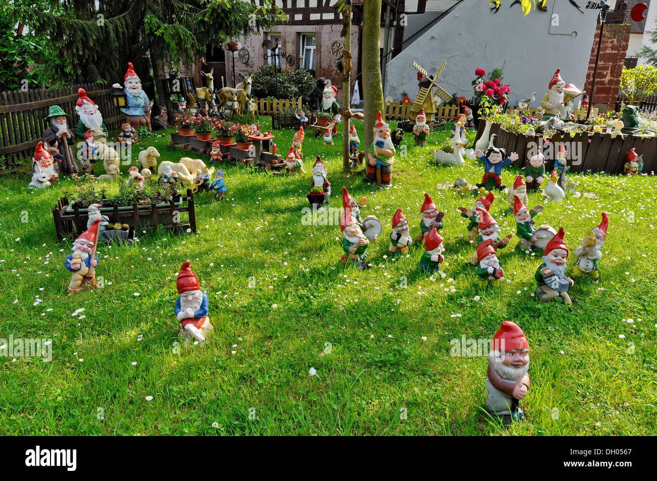 Molti gnomi da giardino in un giardino frontale, Bueches nei pressi di Buedingen, Hesse, PublicGround Foto Stock