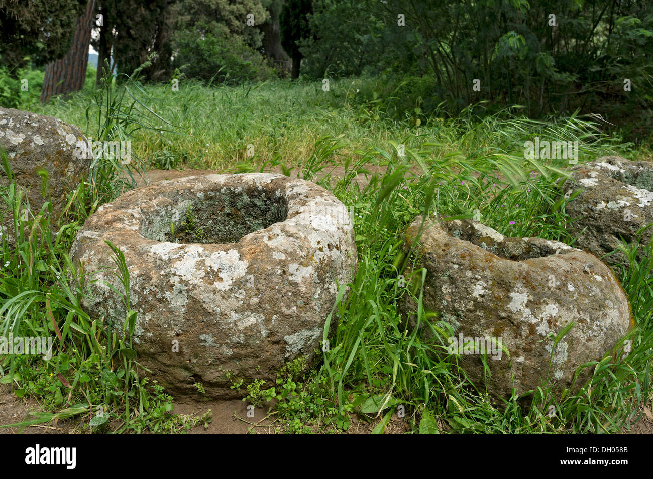 Antico in pietra abbeveratoi, utilizzato come deposito per le urne, zona arcaica, necropoli etrusca di La Banditaccia Foto Stock