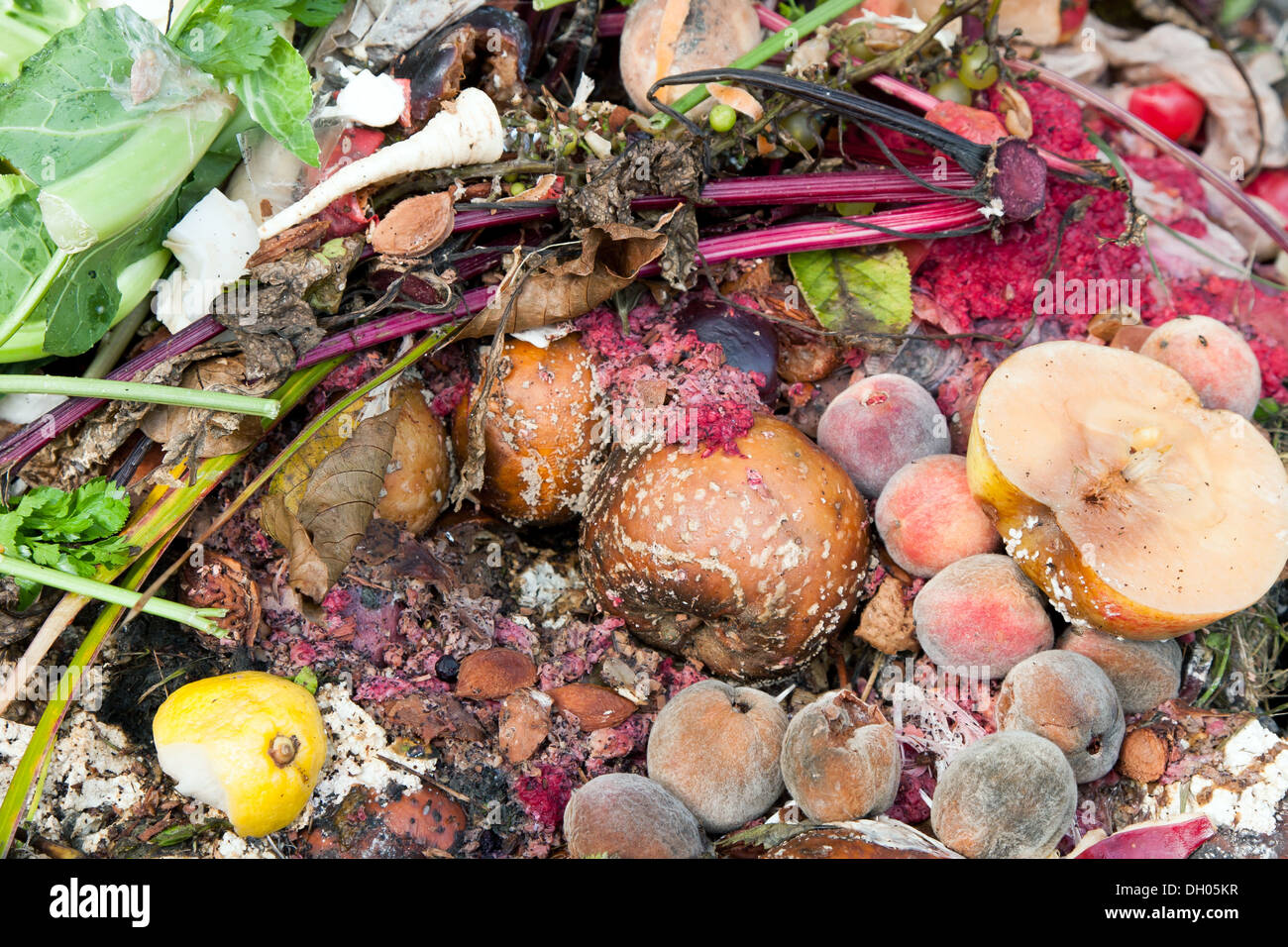 Riducendo in concime organico mucchio di marciume cucina frutta e scarti vegetali Foto Stock