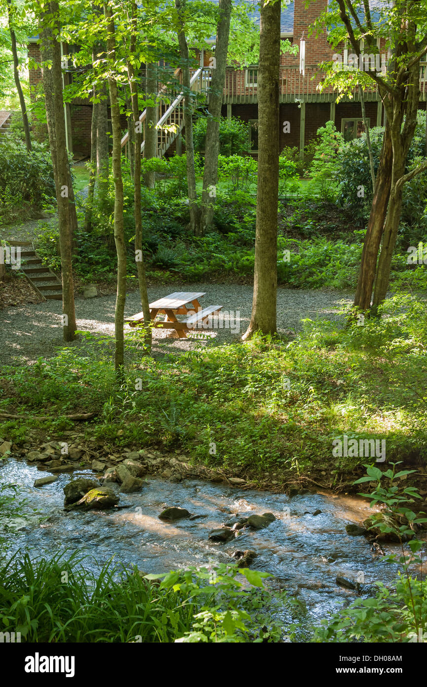 La montagna vive al suo meglio nel cortile rilassante di questa Asheville, Carolina del Nord, zona casa con ruscello privato e area picnic. (STATI UNITI) Foto Stock