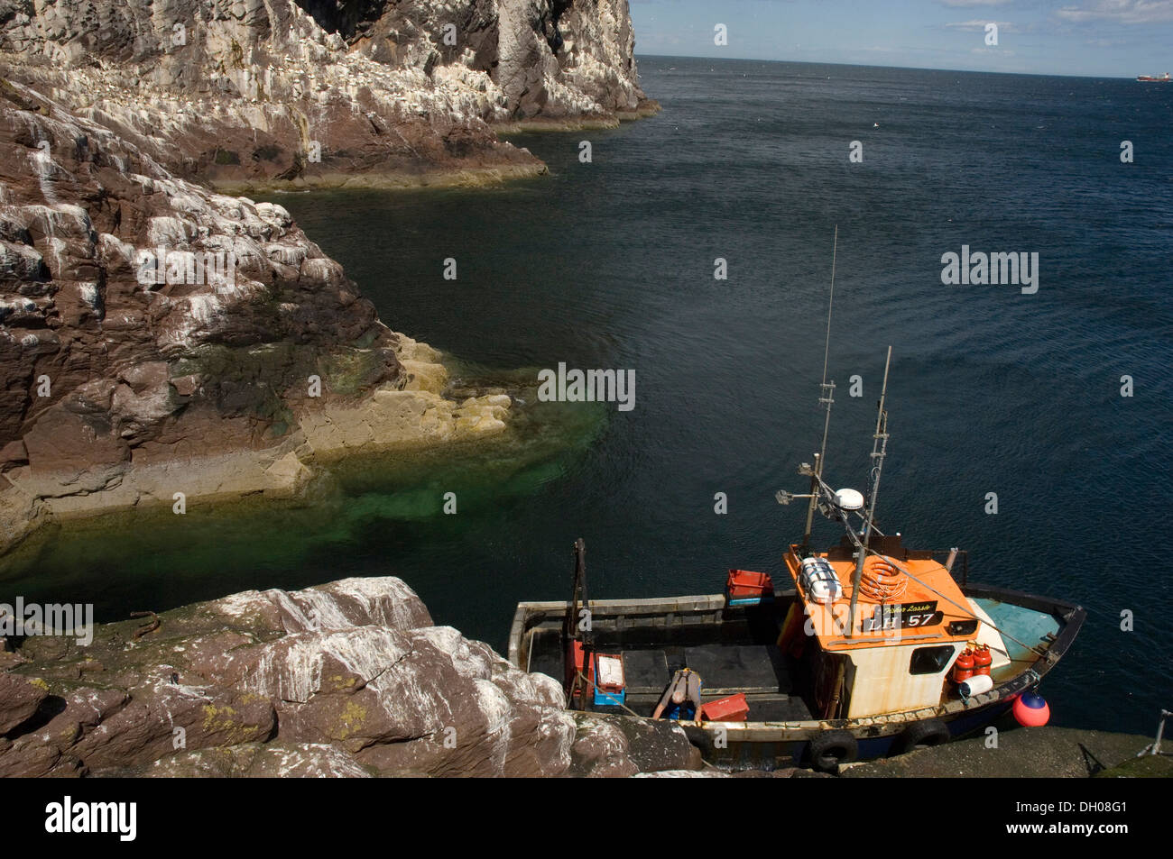 Bass Rock, Edimborough, Scotland, Regno Unito, Gran Bretagna, paesaggio, paesaggio, boat, barca Foto Stock