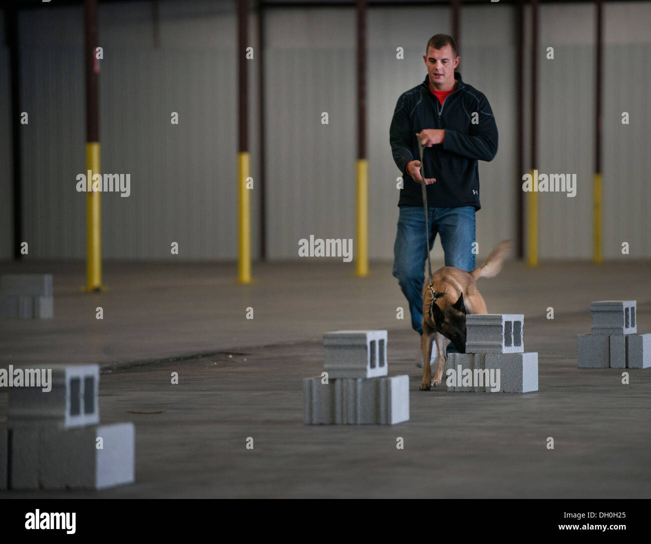 Il personale Sgt. Timothy Garrett, 628th delle forze di sicurezza K9 Il gestore, e il suo cane, Tze, fare una ricerca all'interno di un magazzino 22 Ottobre 2013 Foto Stock