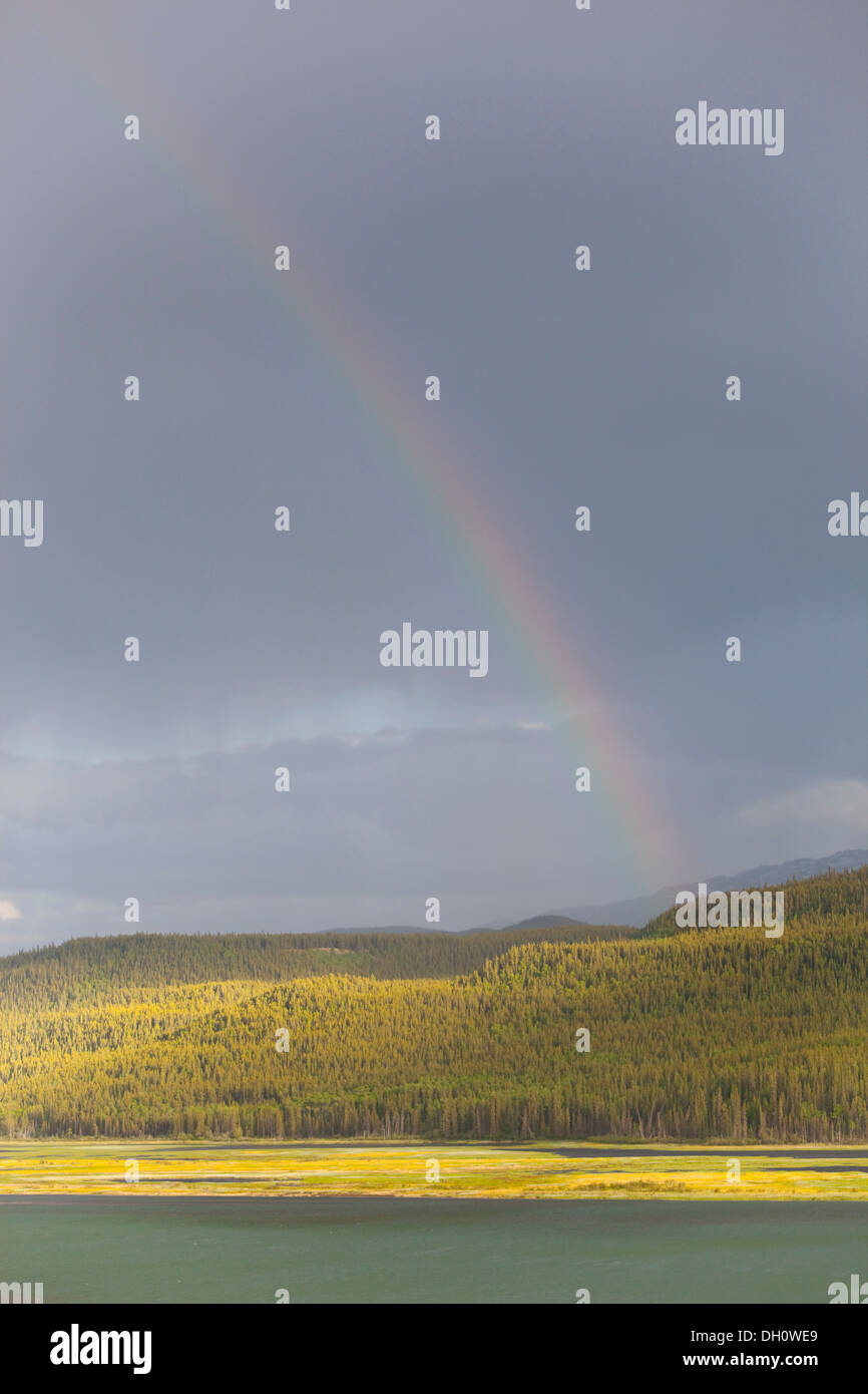 Nuvole pesanti e rainbow su Lago di palude, sorgenti del fiume di Yukon, vicino a Whitehorse, Yukon Territory, Canada Foto Stock