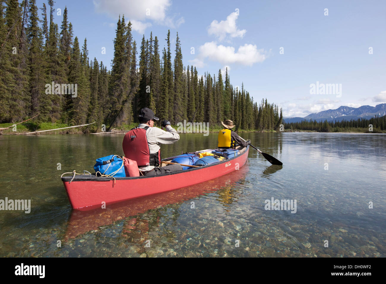 Giovane uomo e donna paddling una canoa, canoa, superiore Liard River, Yukon Territory, Yukon Territory, Canada Foto Stock
