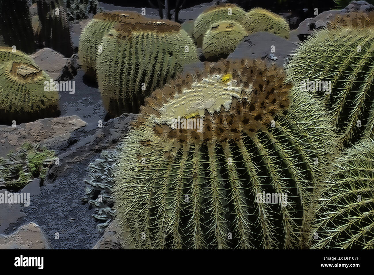 Cactus Art Foto Stock